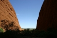 20080319_img_3120