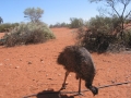 20080320_img_2989