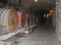 20080322_img_3049