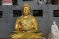 20120321_123222